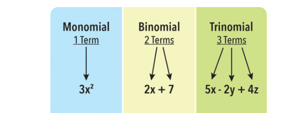 Types of Polynomials