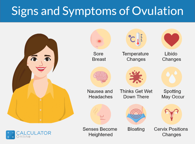 I - Ovulation Calculator