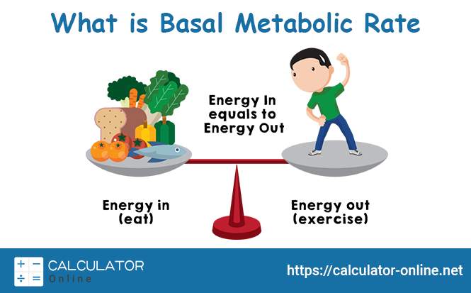 basal metabolic rate bmr