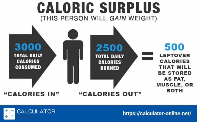 calories to lose weight