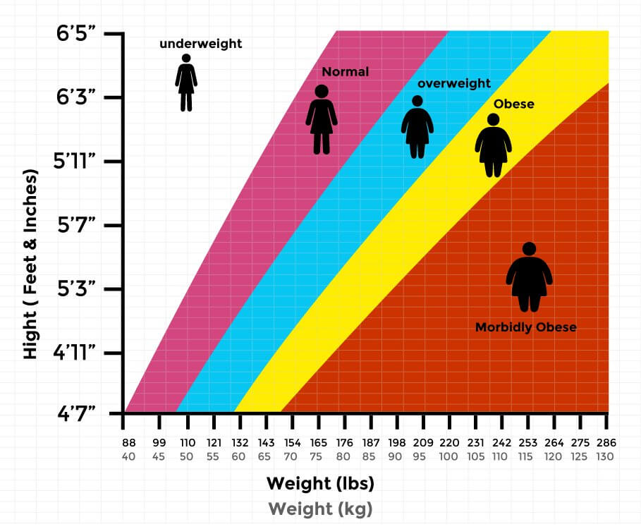 calculate bmi for women over 65