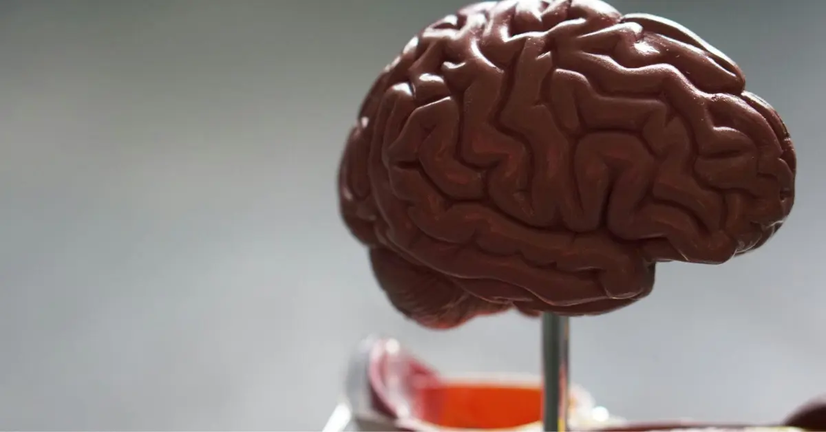 The Genetic and Environmental Factors Influencing IQ Across Generations