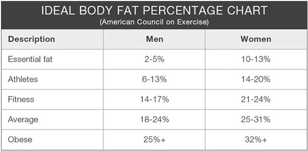 lean body mass chart