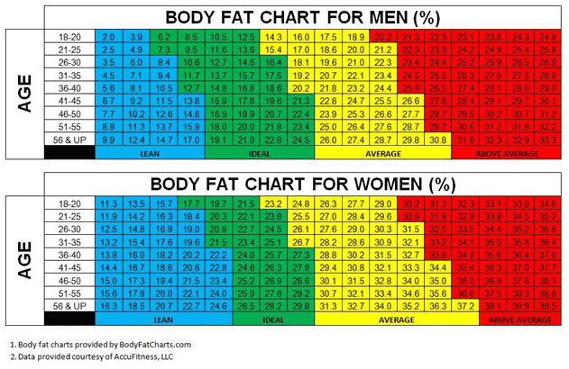 Body fat percentage chart